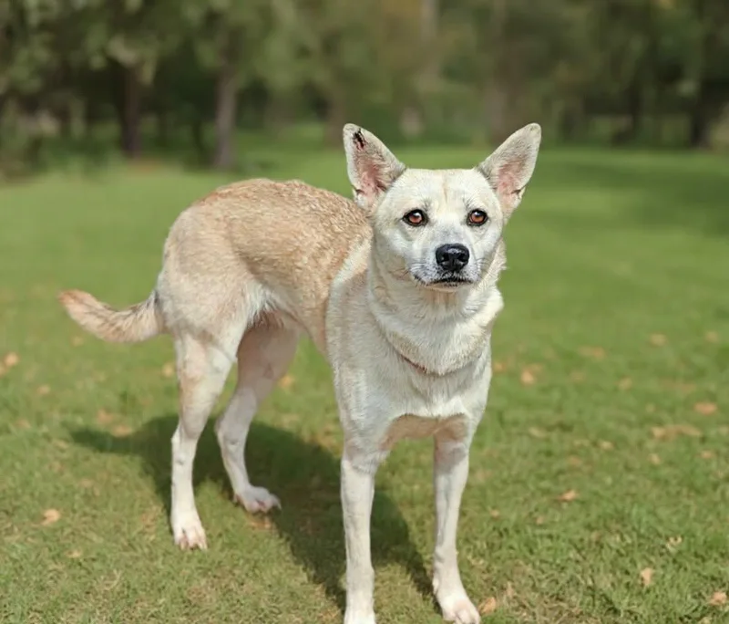Darla thumbnail 2