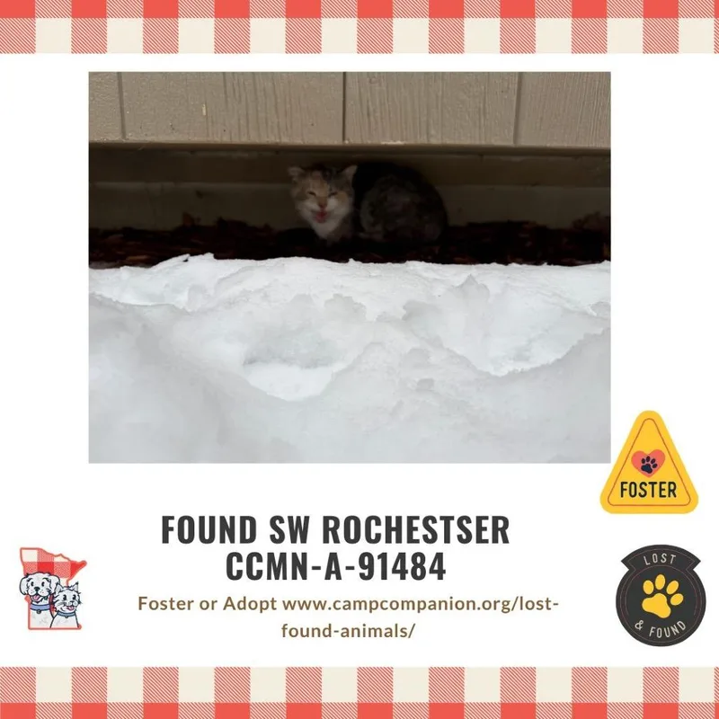 Found SW Rochester thumbnail 2