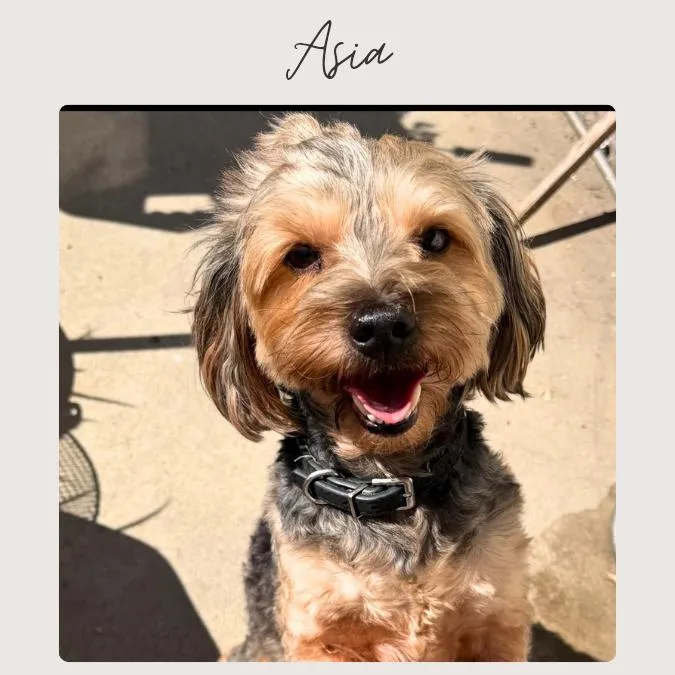 Asia