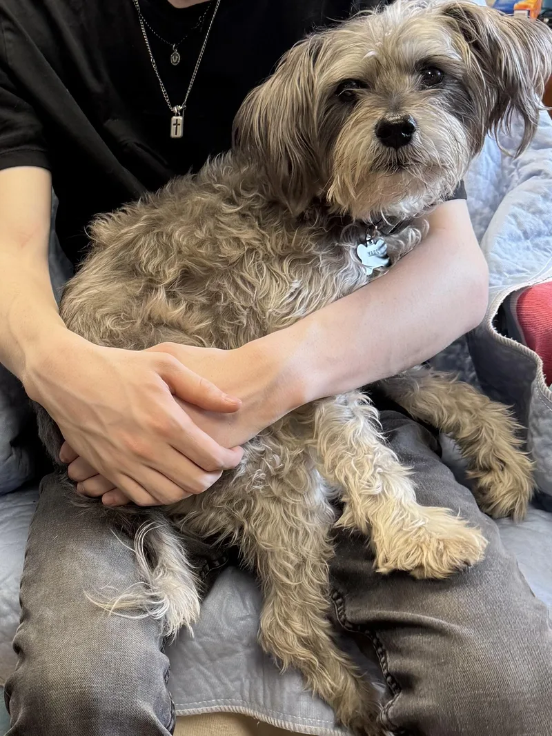 Earl Grey thumbnail 2