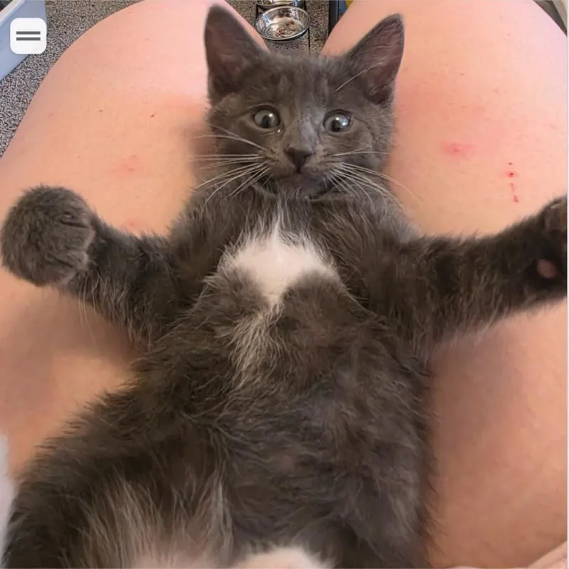 Mr. Peep thumbnail 2
