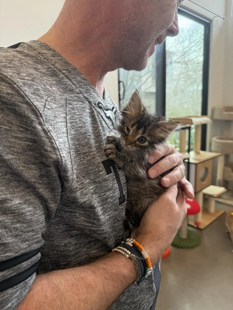 Crispian thumbnail 5