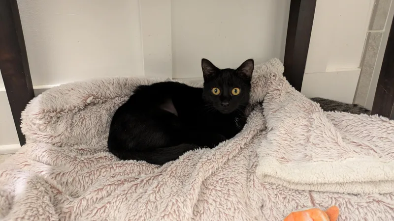 Lil Ruthie thumbnail 2