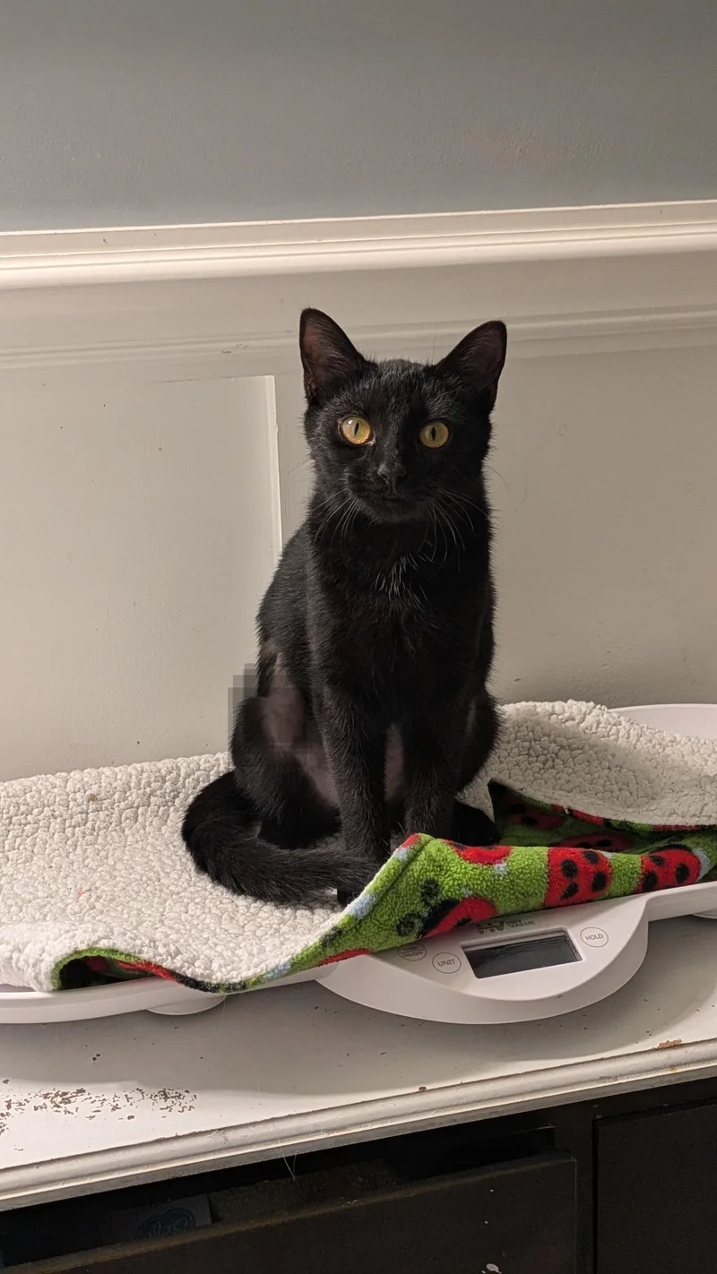 Lil Ruthie thumbnail 3