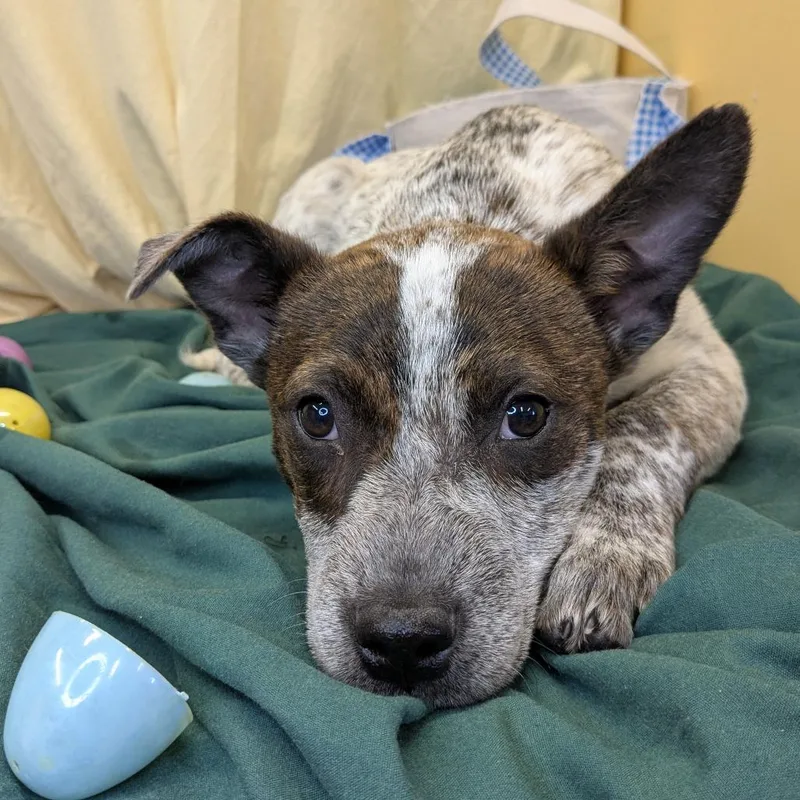 New Kid On The thumbnail 2