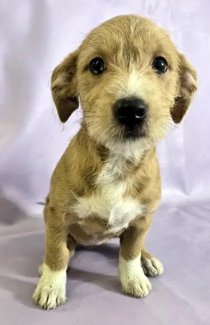 Mya thumbnail 2