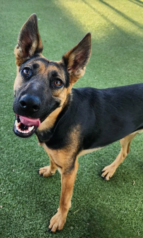 Violet Aka Toasted Tina