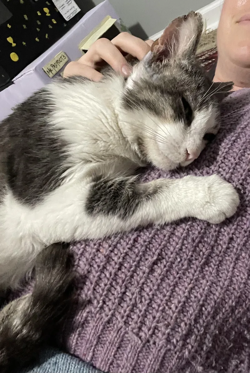 Wallace Shawn thumbnail 5