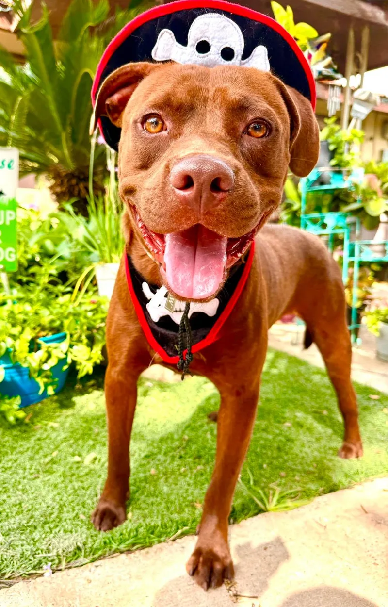 Coco thumbnail 2