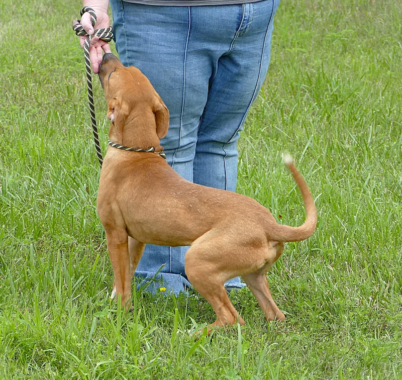Lotti thumbnail 3