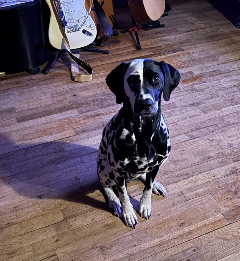 Cookielake Ronkonkoma  Ny thumbnail 2