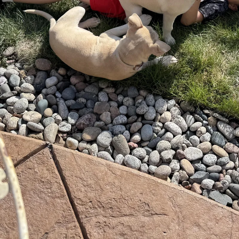 Mr Green thumbnail 2