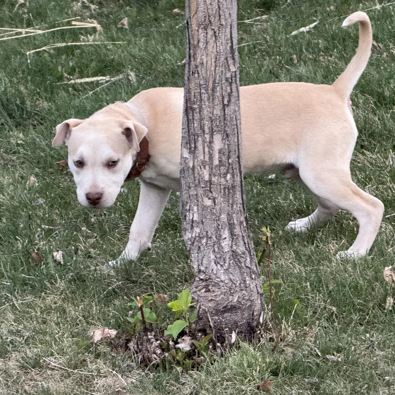 Mr Green thumbnail 3