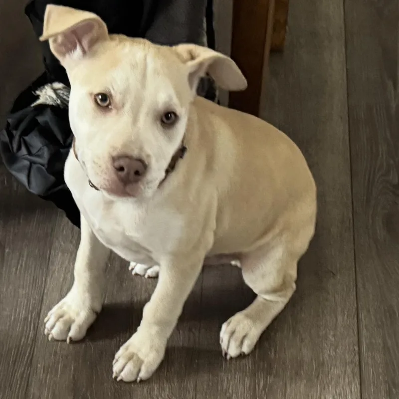 Mr Green thumbnail 4