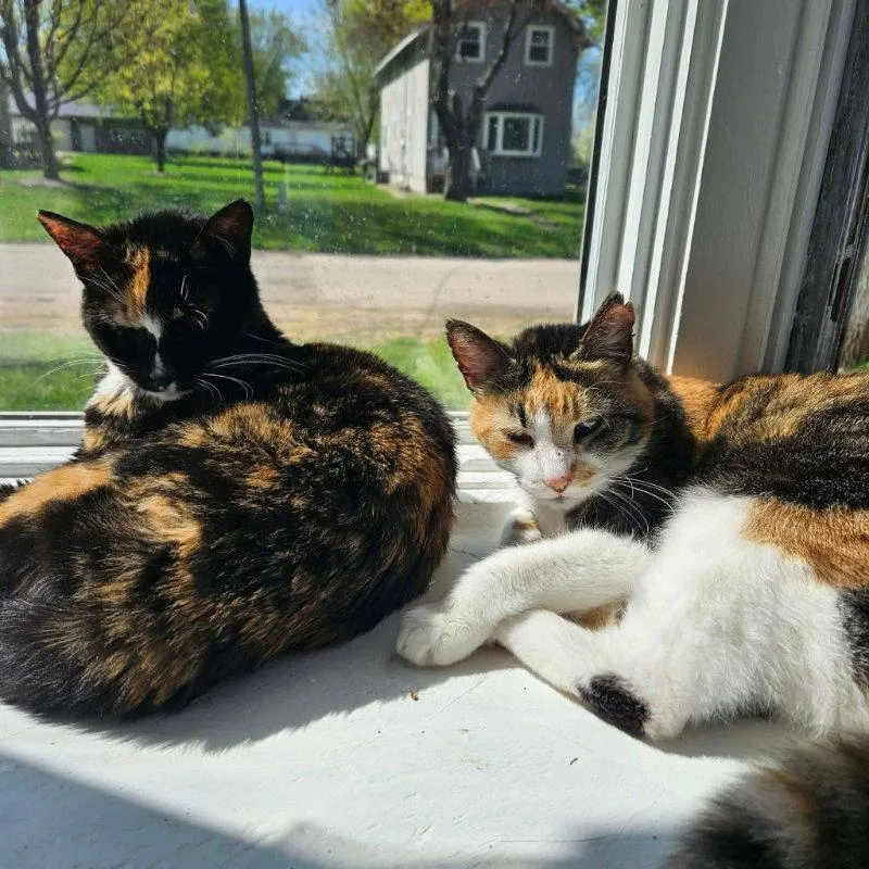 Buttons & Spooky