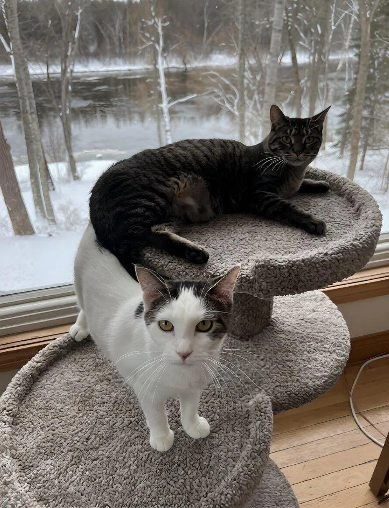 Jenga  Taboo thumbnail 3