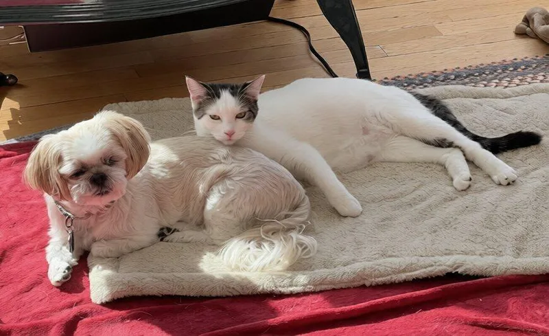 Jenga  Taboo thumbnail 5