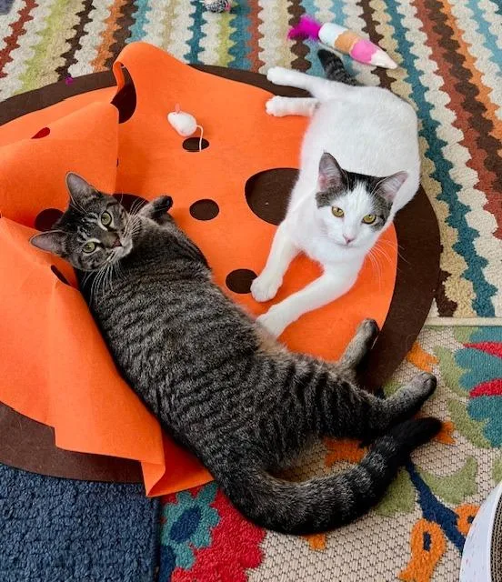 Jenga  Taboo thumbnail 6