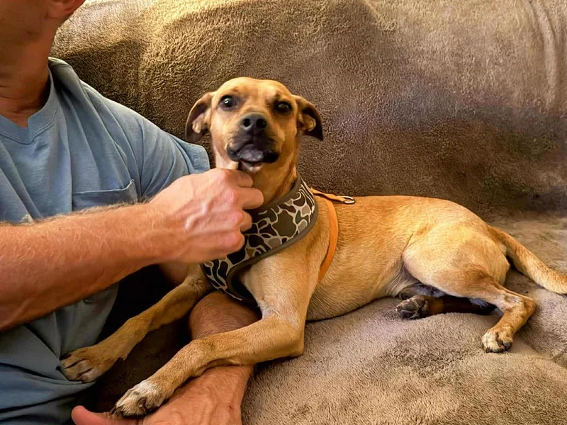 Buzz & Woody thumbnail 2