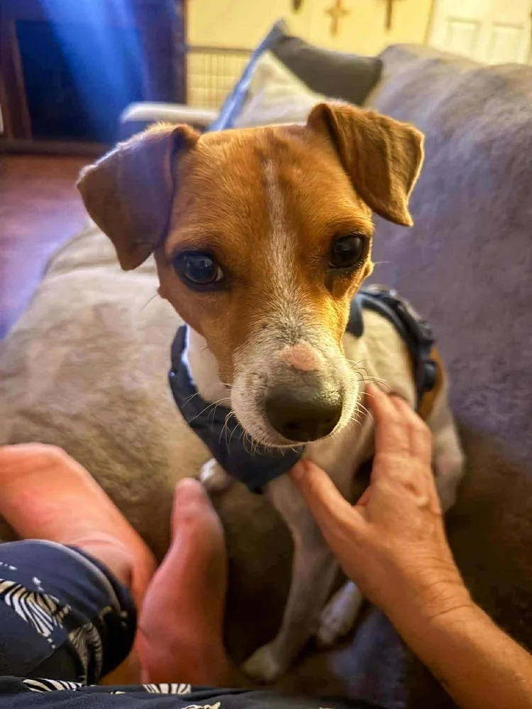 Buzz & Woody thumbnail 4