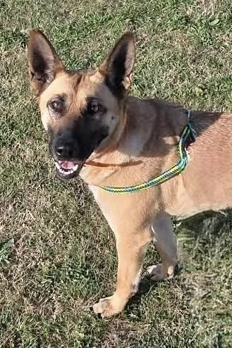 Daenerys thumbnail 3