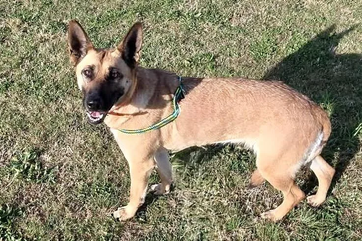 Daenerys thumbnail 4