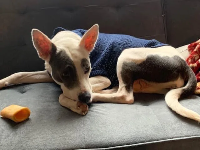 Ava Ariel thumbnail 2