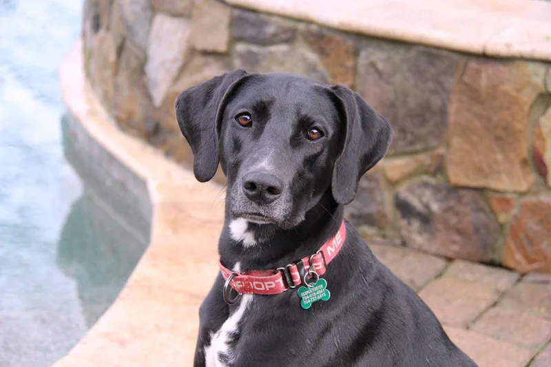 Patrisha thumbnail 2