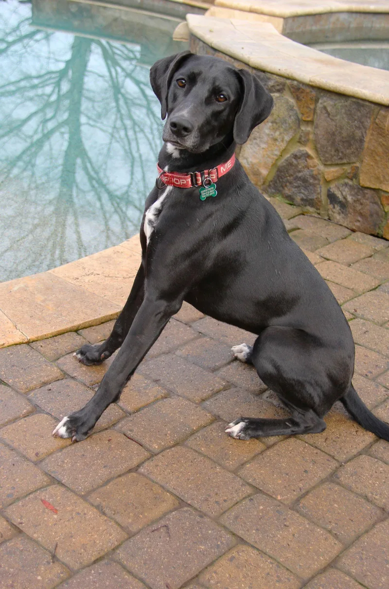 Patrisha thumbnail 3