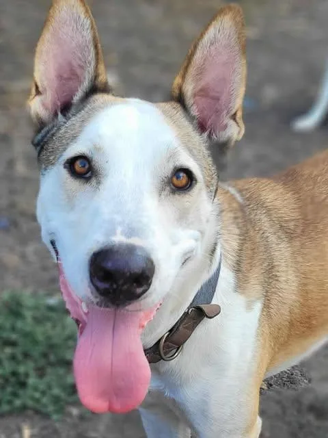 Kentucky thumbnail 2