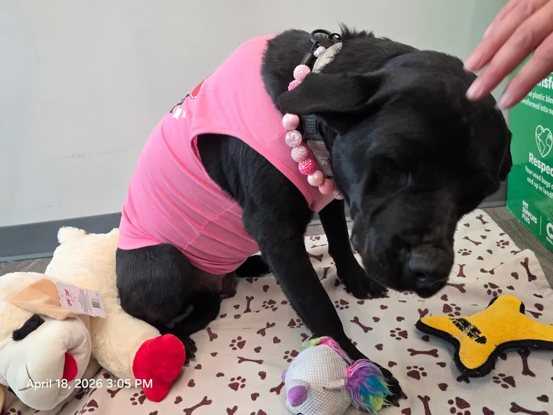 Flora Jo thumbnail 2