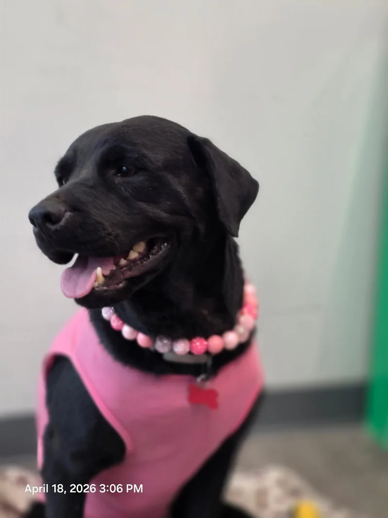 Flora Jo thumbnail 3