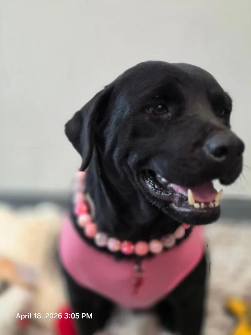 Flora Jo thumbnail 4