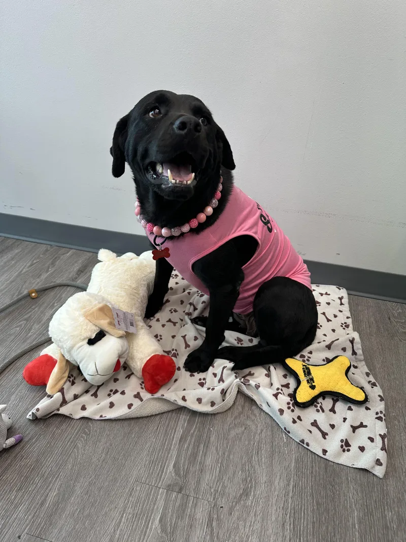 Flora Jo thumbnail 5