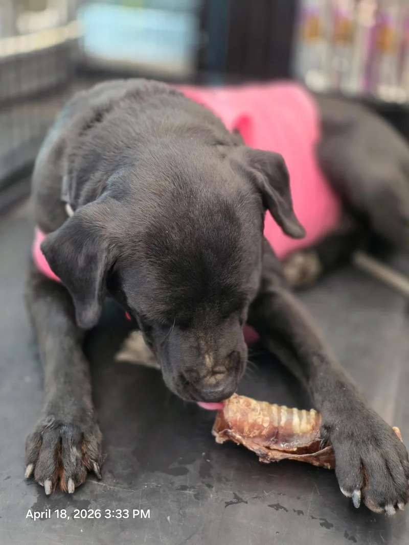 Flora Jo thumbnail 6