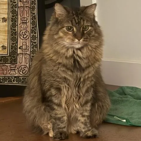 Miss Otis thumbnail 2