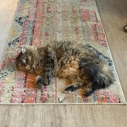 Miss Otis thumbnail 5