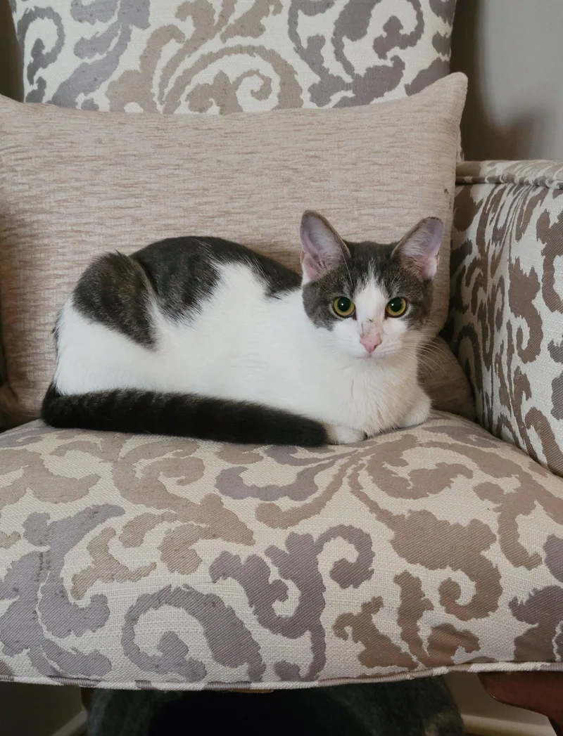 Roni thumbnail 2