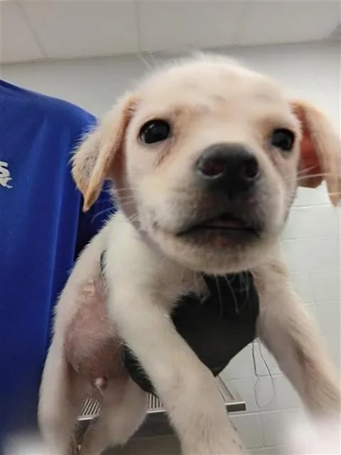 Danny