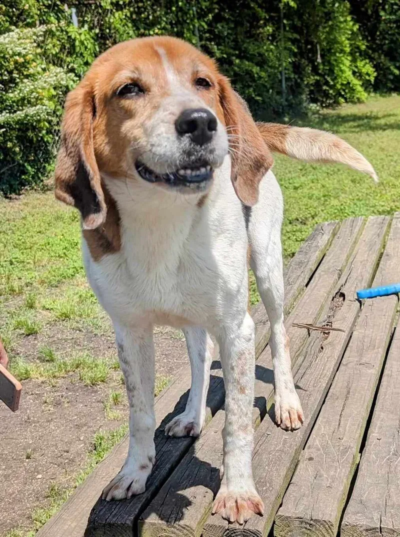 Harrison thumbnail 2