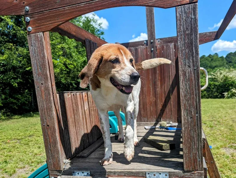 Harrison thumbnail 3