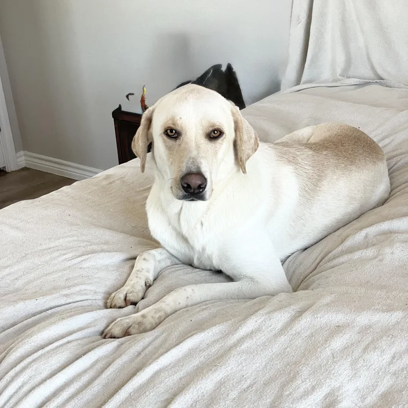 Loving Ruby thumbnail 2