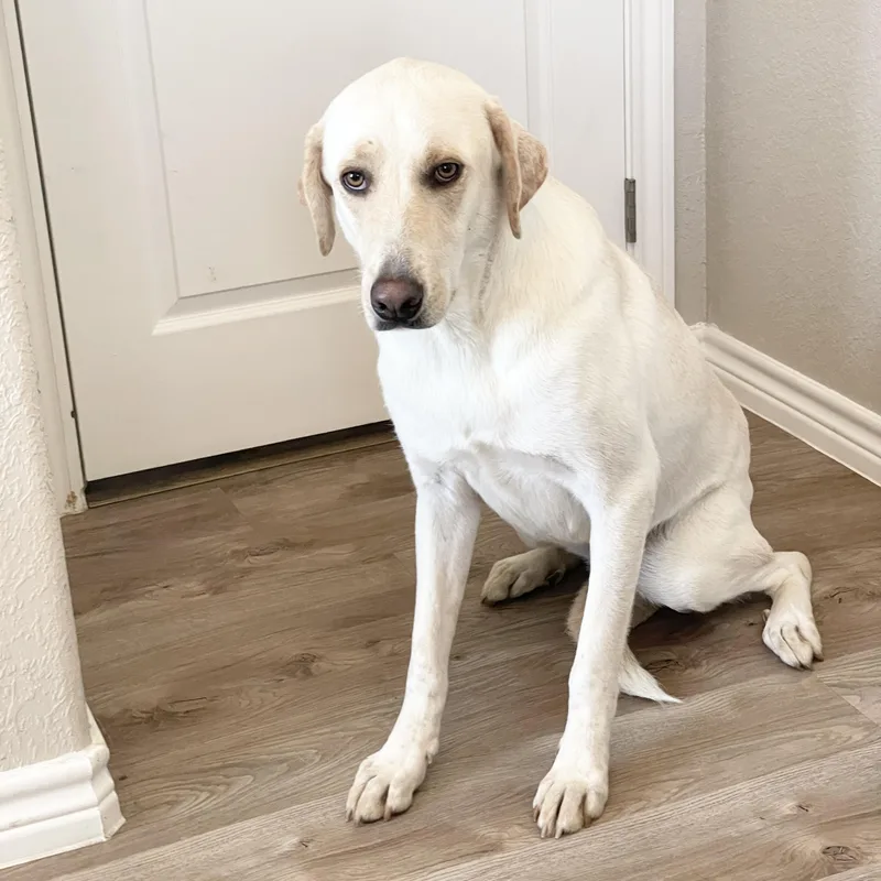 Loving Ruby thumbnail 3