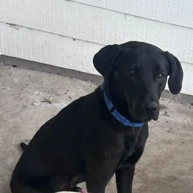 Pecos