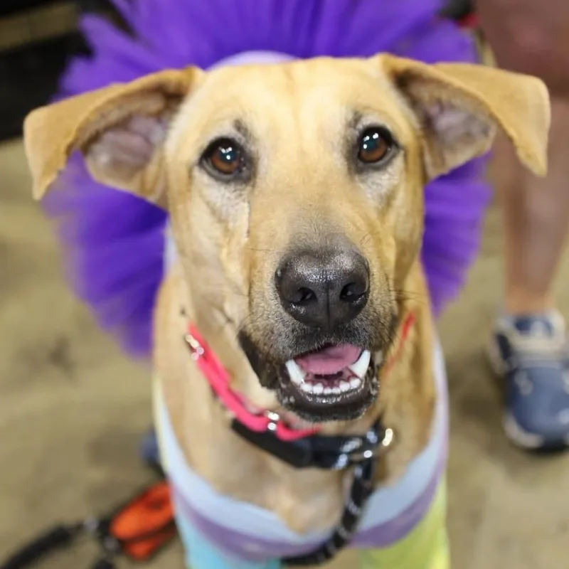 Elena Jum thumbnail 2