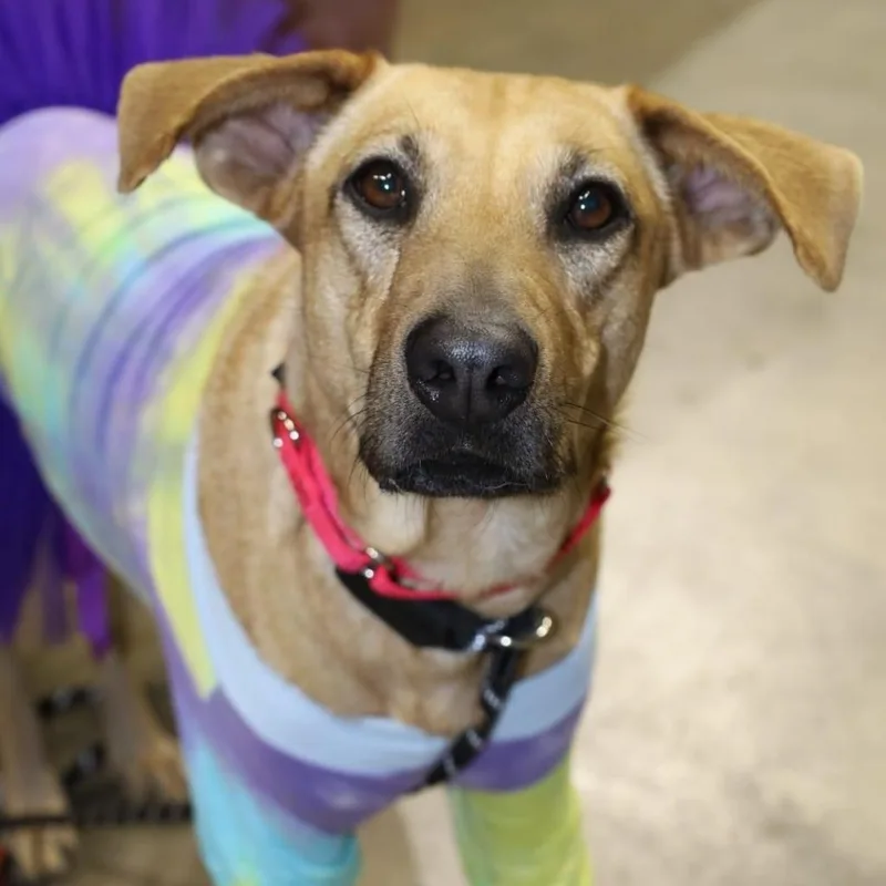 Elena Jum thumbnail 3