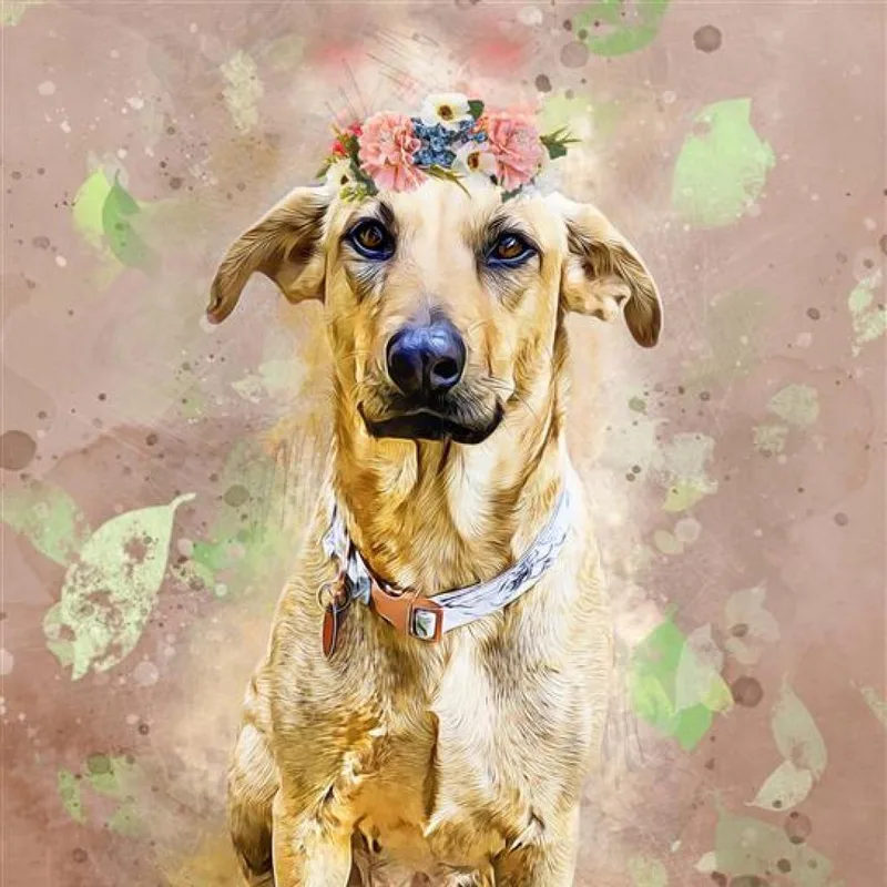 Elena Jum thumbnail 4