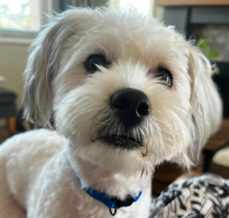Cute  Cuddly And thumbnail 3