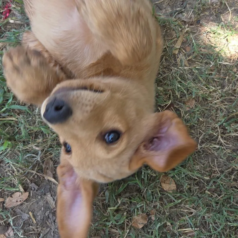 Milly Sue thumbnail 2