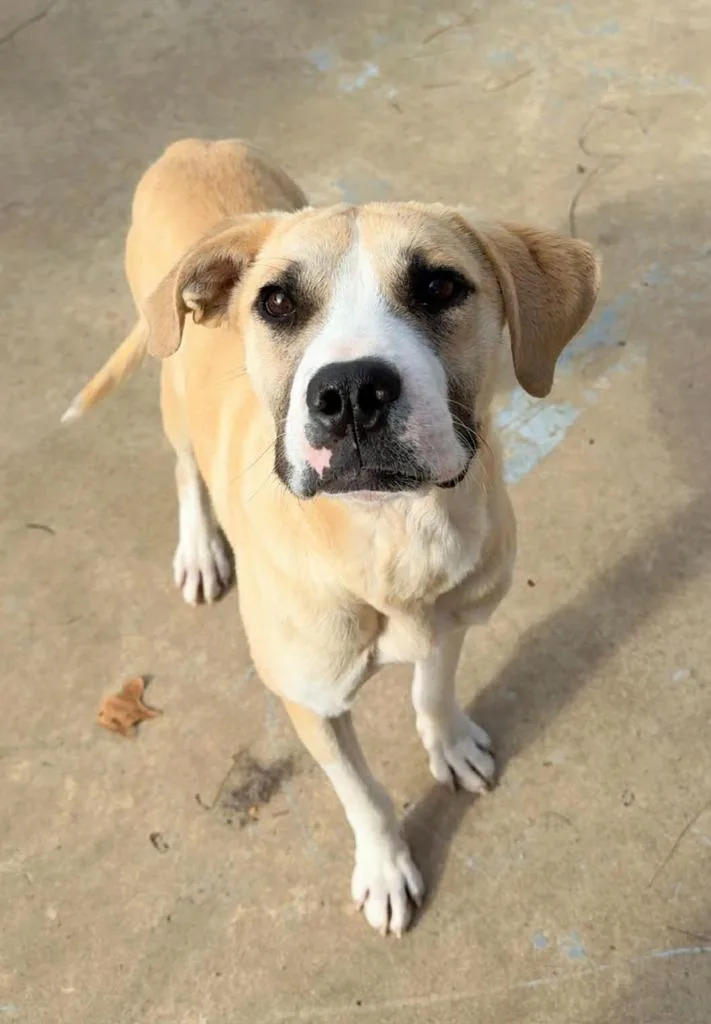 Troubadour Aka Tru thumbnail 5